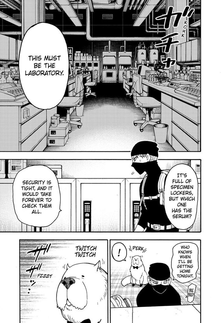 Spy x Family, Chapter 40 image 18